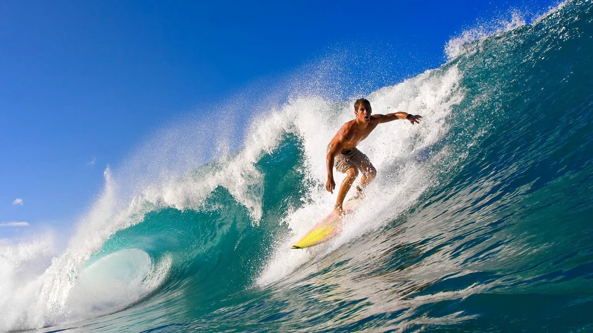 国家体能研究中心发布专项训练周期表 供教练参考，国家体能训练师有多少等级